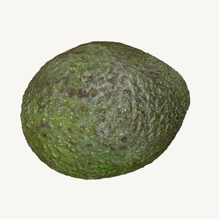 Avocado 3D Model