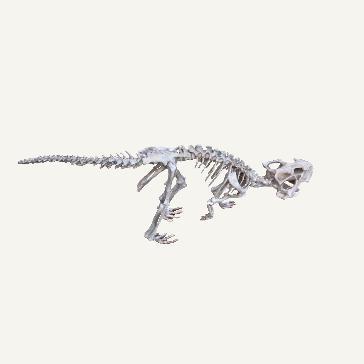 Psittacosaurus  3D Model