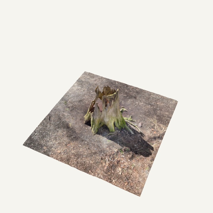 Thumbnail of a wood 3D model