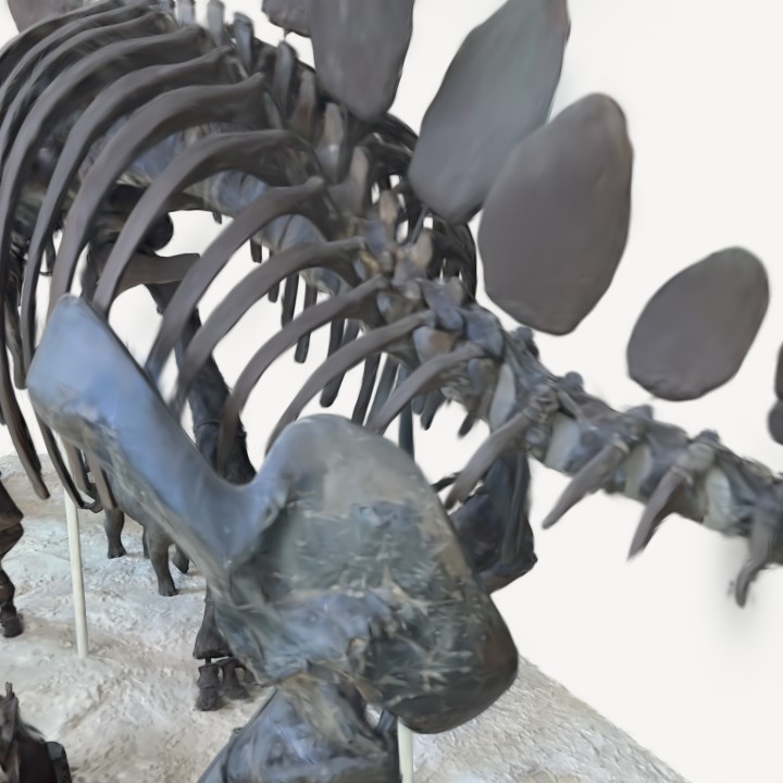 Stegosaurus composite skeleton, American Museum of Natural History, New York, U.S.A. 3D Model