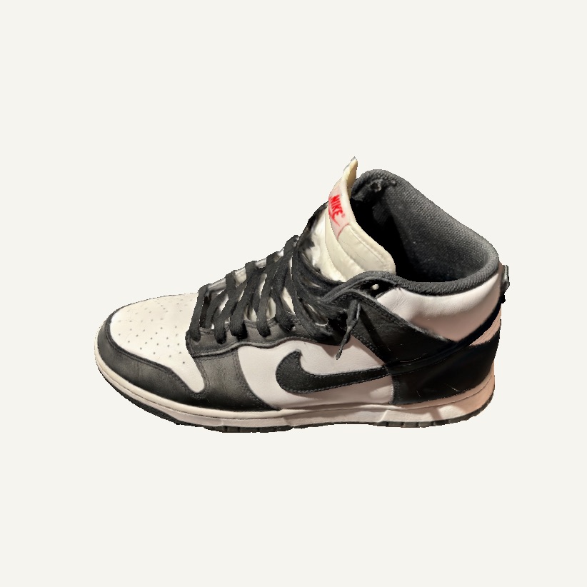 Nike Dunk Panda 3D Model